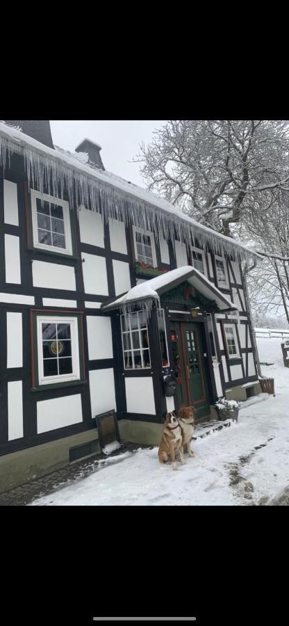 Berghof Schmitte Pensionat Winterberg Eksteriør billede