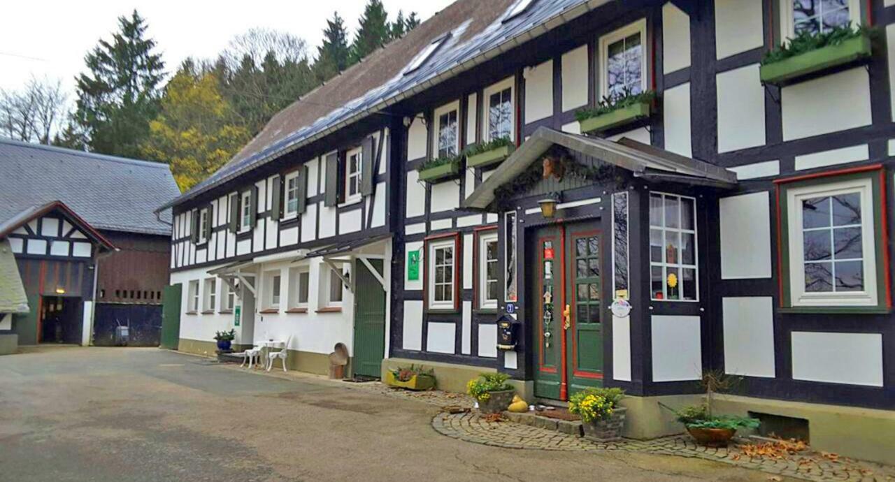 Berghof Schmitte Pensionat Winterberg Eksteriør billede