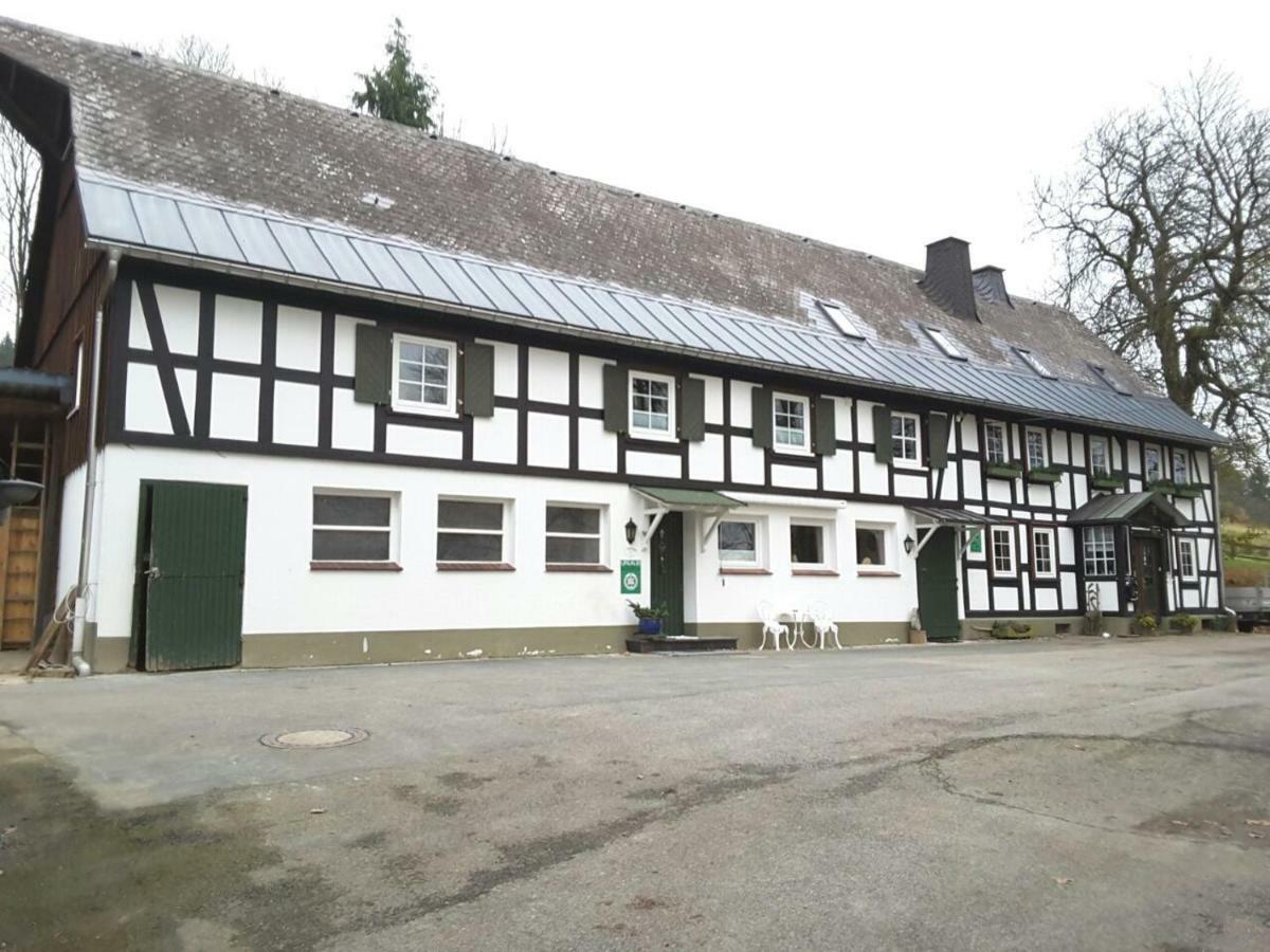 Berghof Schmitte Pensionat Winterberg Eksteriør billede