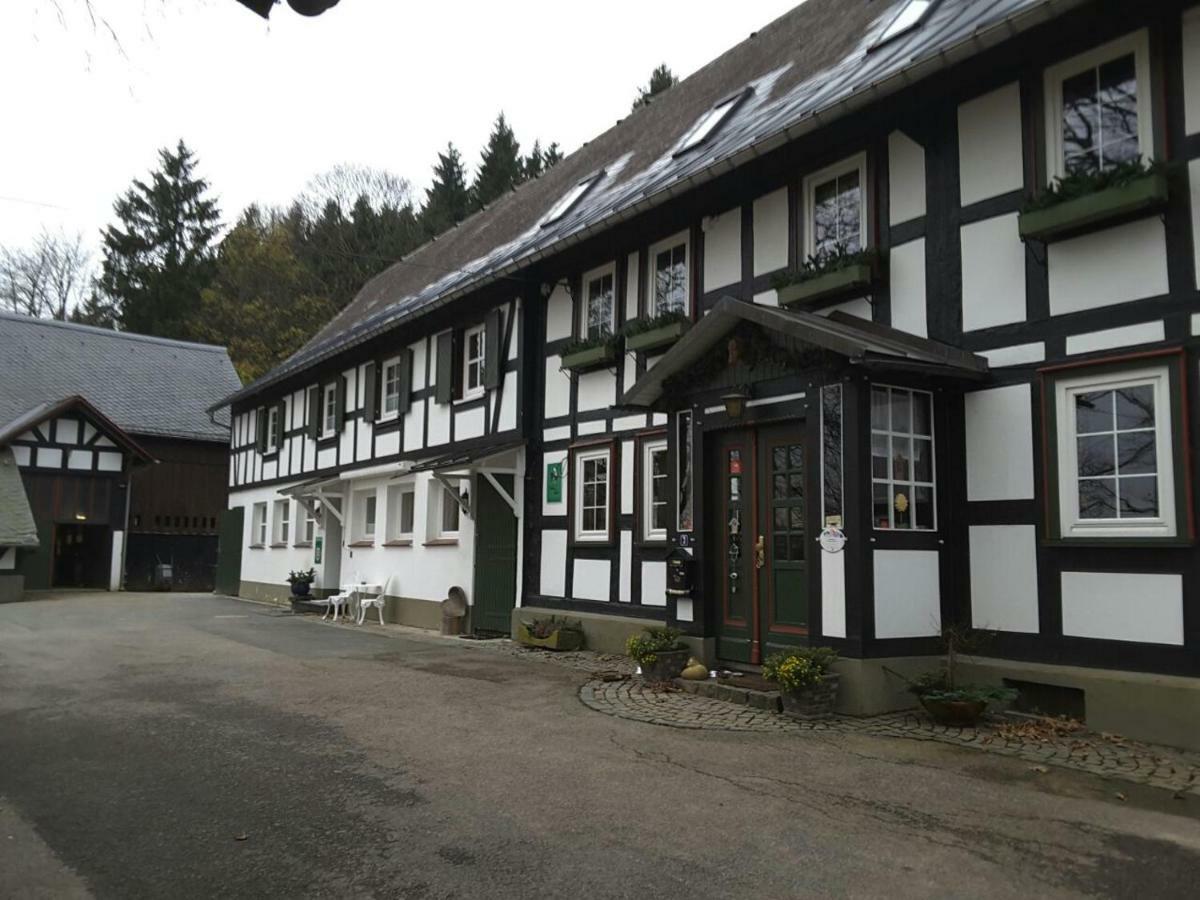 Berghof Schmitte Pensionat Winterberg Eksteriør billede