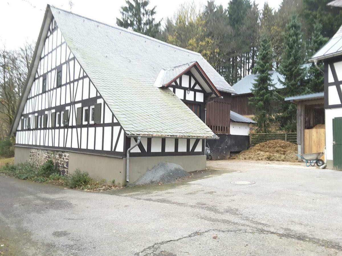 Berghof Schmitte Pensionat Winterberg Eksteriør billede