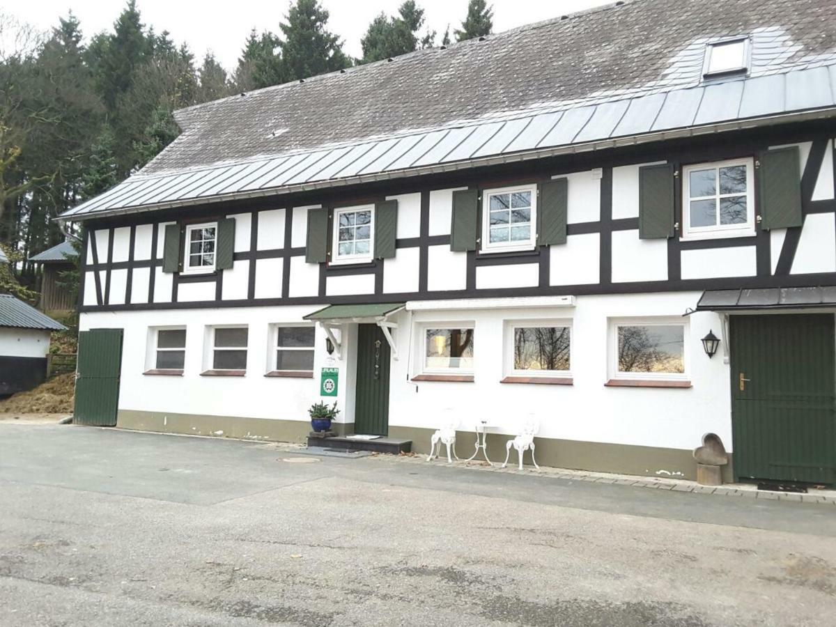 Berghof Schmitte Pensionat Winterberg Eksteriør billede